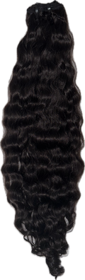 Raw Indian Curly